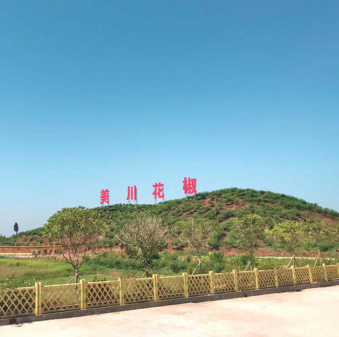 村企共創(chuàng)，建美麗宜居鄉(xiāng)村