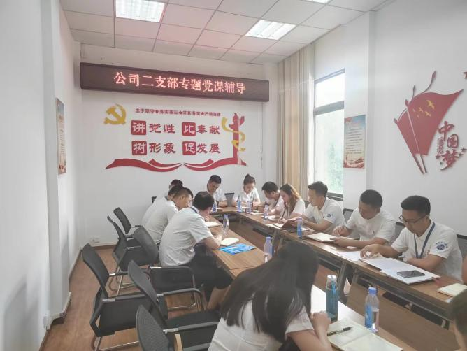 公司二支部開展“齊力共進(jìn)、強(qiáng)企有我” 主題黨日活動